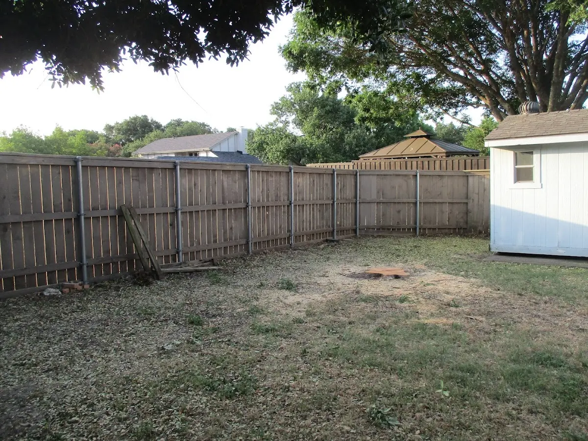 Cleared yard after professional tree removal in Laurys Station