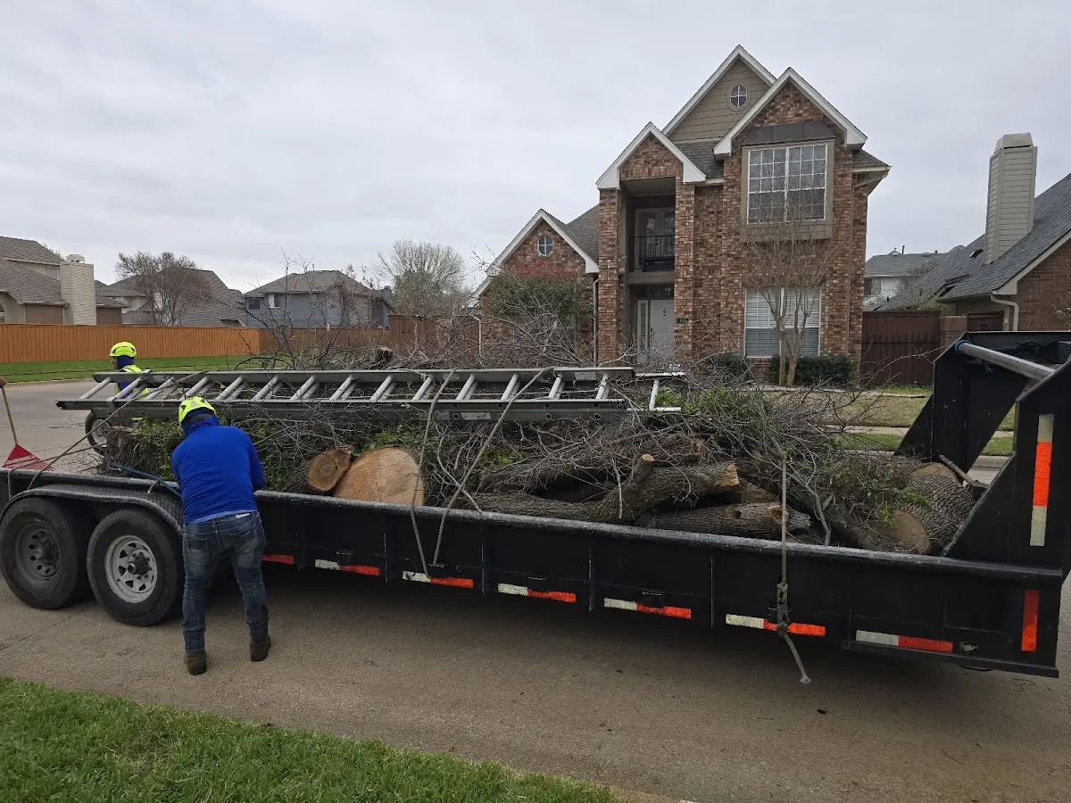 Expert Tree Removal with proper safety equipment in Laurys Station